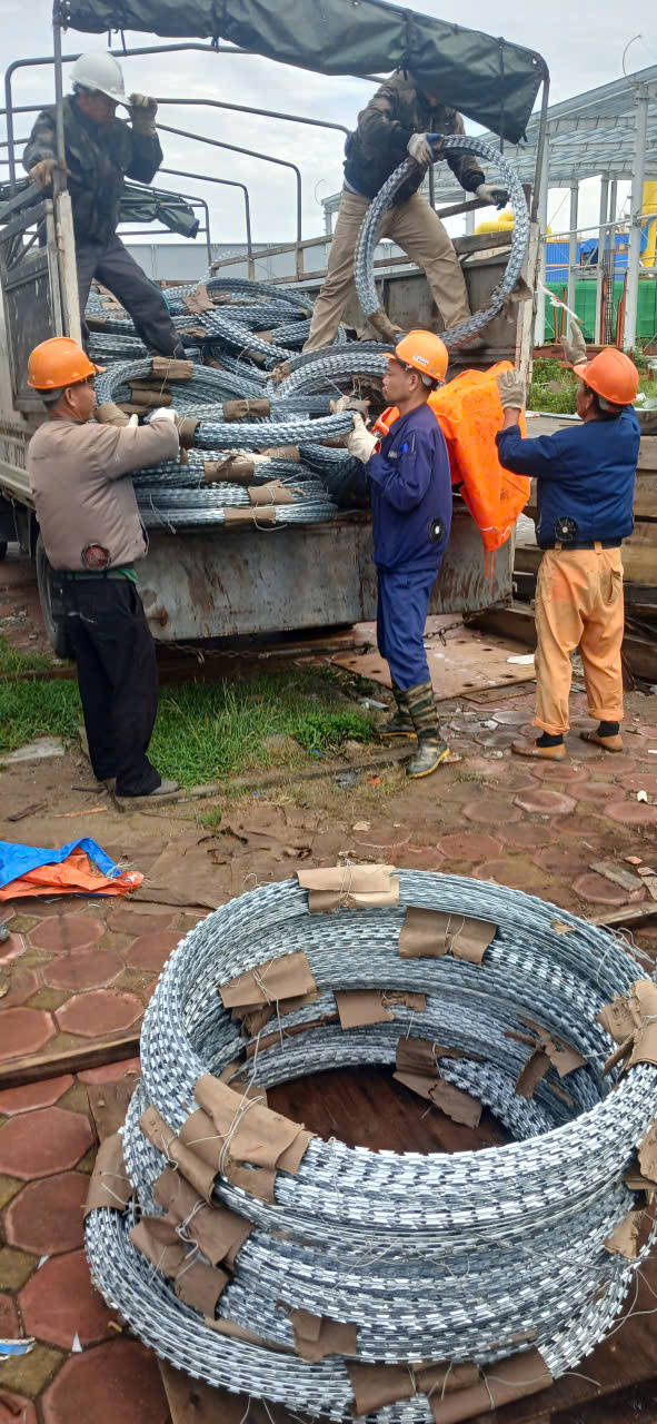 Dây thép gai 1